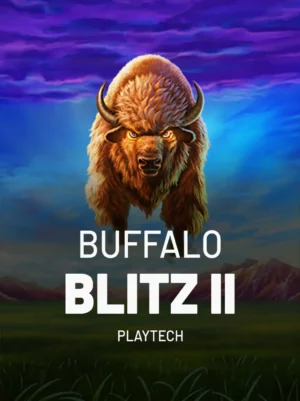 Buffalo Blitz 2